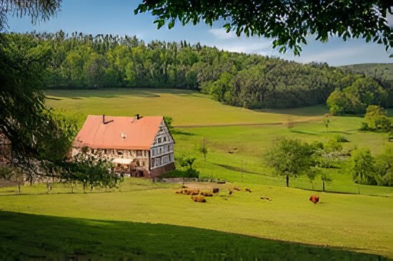 Farm for sale